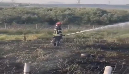 Osmaniyede tankerin lastiklerinden çıkan yangın zeytin bahçesine sıçradı