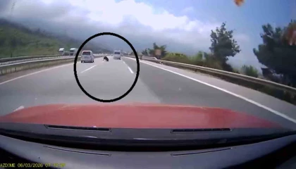 Otobanda yola fırlayan angus korku dolu anlar yaşattı