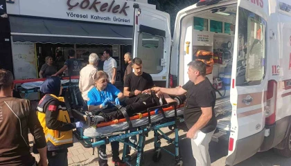 Palmiyeye çarpan Tofaş hurdaya döndü: 4 genç yaralandı