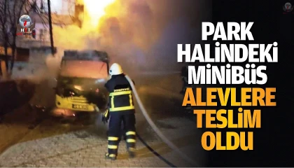 Park halindeki minibüs alevlere teslim oldu