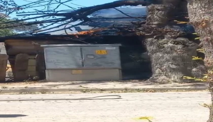 Serikte gecekondu yangını