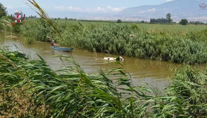 Su kanalına düşen ineği itfaiye kurtardı