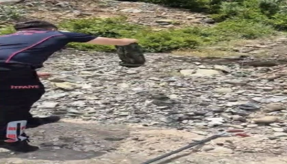 Yatak ve halıların arasına saklanan yılanı itfaiye buldu