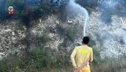 Yayladağında ormanlık alanda çıkan yangın kontrol altına alındı