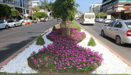 Alanya Belediyesinden yeşil alanlarda yoğun mesai