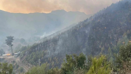 Alanyadaki yangına 95 araç ve 320 personelle müdehale ediliyor