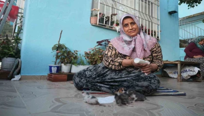 Anneleri telef olan yavru kedileri merhametiyle büyüten kadın, hayvanları biberonla besliyor