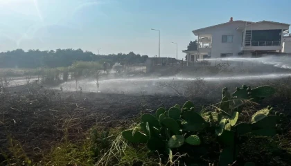 Arsuzda otluk alan yangını