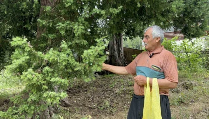 Doğadan topladığı andız çekirdeklerini koleksiyonluk tespihlere dönüştürüyor