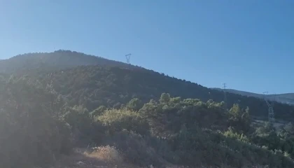 Eğirdirdeki orman yangını kontrol altına alındı: 10 hektar alan zarar gördü