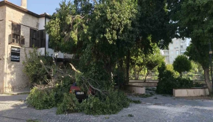 Fırtına ağaçları araçların üzerine devirdi, tekneyi kıyıya vurdu