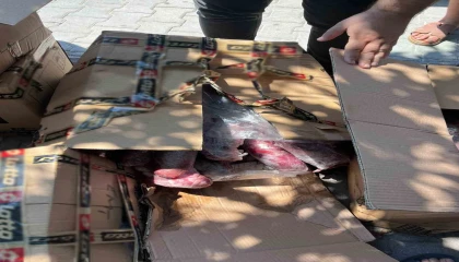 Halk sağlığını tehdit eden 300 kilogram et imha edildi