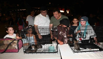 Kemer Belediyesinde Can dostları için konser