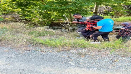 Kozanda kayalıklardan düşen şahsı orman ekipleri kurtardı