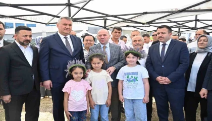 Lavanta hasadının bereketi Uygara umut olacak