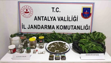 Manavgatta 2 kilo kubar esrar ve 130 kök kenevir ele geçirildi
