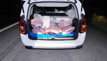Mersinde 877 kilogram kaçak sakatat ele geçirildi