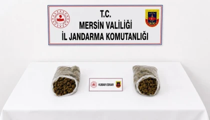 Mersinde jandarmadan uyuşturucu operasyonu: 2 tutuklama