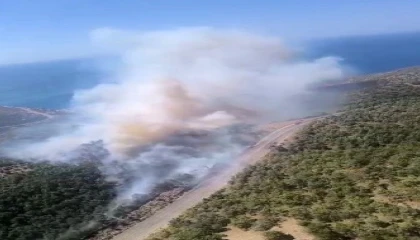 Mersinde orman yangını: Ekipler havadan ve karadan müdahale ediyor