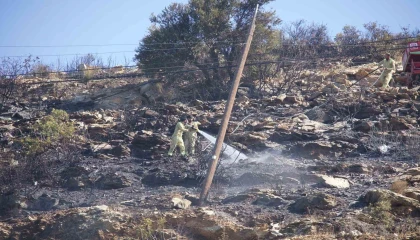 Mersindeki orman yangını: Yangın söndürüldü, soğutma çalışması sürüyor