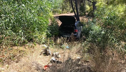Önündeki otomobile çarptı, ardından ormana daldı: 1 yaralı