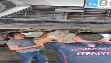 Osmaniyede otomobilin motoruna sıkışan yavru kedi kurtarıldı