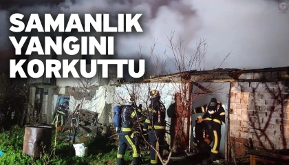 Reyhanlıda samanlık yangını