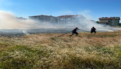 Rüzgarın etkisiyle büyüyen ot yangını evlere ulaşmadan söndürüldü