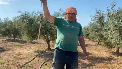 Yılanı öldürdüm deyip çektirdiği video pahalıya mal oldu: 22 bin TL ceza yedi