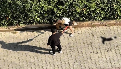 Adanada kediyi parçalayan pitbullun sahibine 95 bin lira ceza