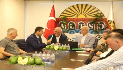 Alanya avokadosunun Avrupa Birliği coğrafi işaret başvurusu gerçekleştirildi