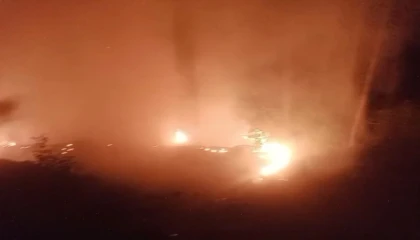 Alanyada ormanlık alan yangınında 2 dönüm alan zarar gördü