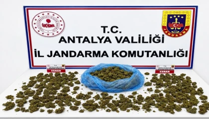 Alanyada uyuşturucu operasyonunda 745 gram esrar ele geçirildi