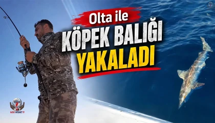 Amatör balıkçı oltaya takılan köpek balığını dakikalarca süren mücadeleyle yeniden denize bıraktı