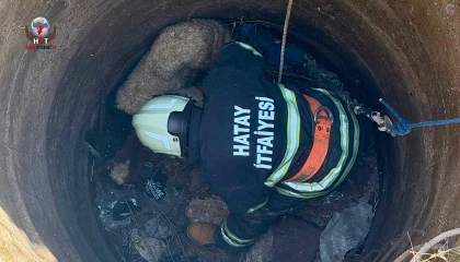 Antakyada kuyuya düşen 2 koyun kurtarıldı