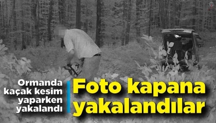 Antakyada ormanda usulsüz kesim yapan şahıslar yakalandı