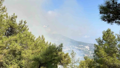 Antalyada iki ilçede çıkan orman yangınına müdahale ediliyor