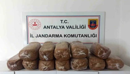 Antalyada üç ilçede kaçak tütün operasyonu: 785 kilogram tütün ele geçirildi