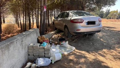 Arsuzda ağaca çarpan otomobilin sürücüsü yaralandı