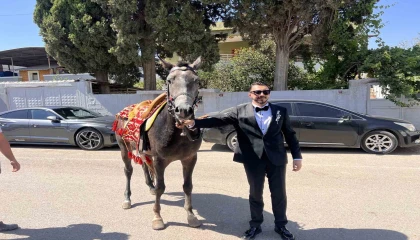 Atla gelin almaya giden damadın planını trafik bozdu