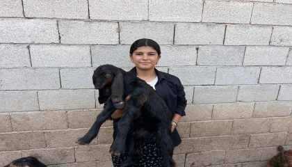 Babasına destek çıkmak için keçi besleyip hayvan ticareti yapmaya başladı
