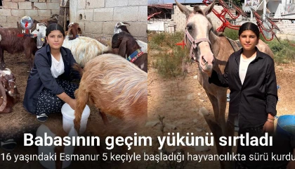 Babasına destek çıkmak için keçi besleyip hayvan ticareti yapmaya başladı