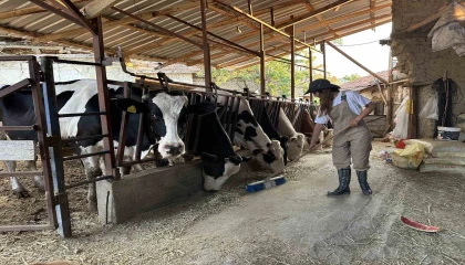 Babasının geçirdiği iş kazasıyla çiftliğin yükü omuzlarına bindi, o ise üretmekten vazgeçmedi