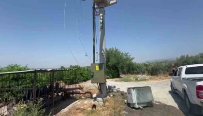 Bakır için direk üzerindeki trafoyu hedef alan hırsızlar, narenciye ağaçlarını susuz bıraktı