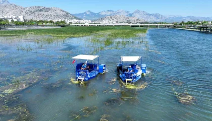 Boğaçayı sucul otlarla kaplandı, Caretta ve Mavi Yengeç göreve başladı