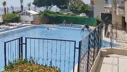 Boğulmak üzere olan çocuğu havuz görevlisi kurtardı