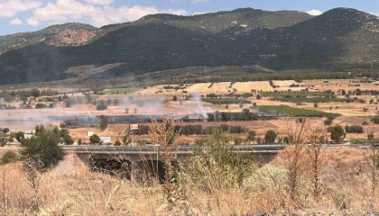 Burdurda 20 dönümlük otluk alanda yangın