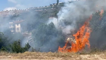 Çalılık alanda başlayan yangın büyümeden söndürüldü