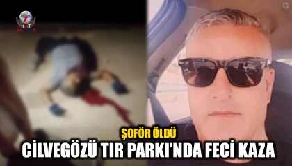 CİLVEGÖZÜ TIR PARKI’NDA FECİ KAZA: ŞOFÖR ÖLDÜ