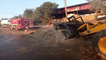 Defnede samanlık yangını yaşandı